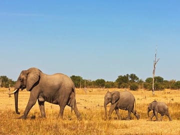 3 Days, 2 Nights Safari – Amboseli National Park and Tsavo West Adventure Safari