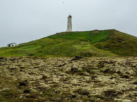 Volcano Circle Tour - Grindavík Town, Reykjanes Lava Fields and Hot Springs, photo 7