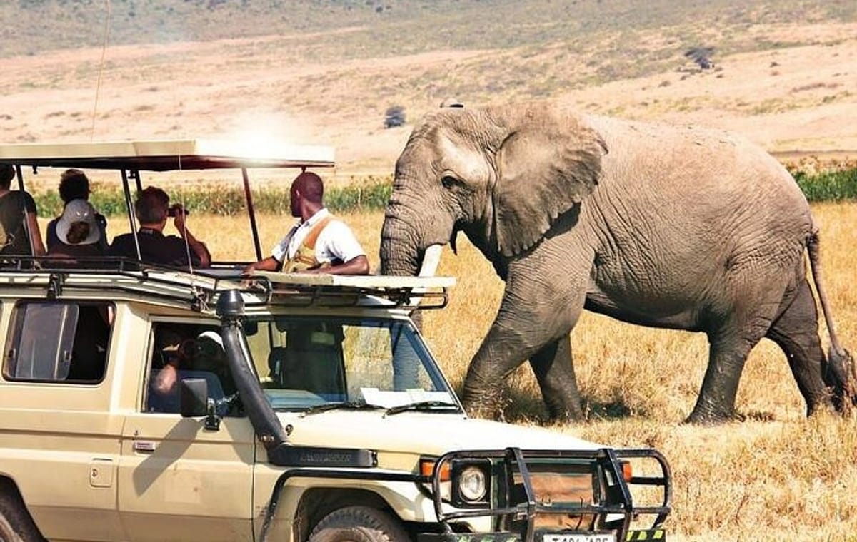 3 Days Samburu National Park private safari all inclusive