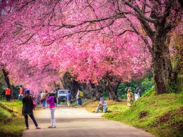 Central Thailand Highlights in a Loop 3 Days, Private Tour