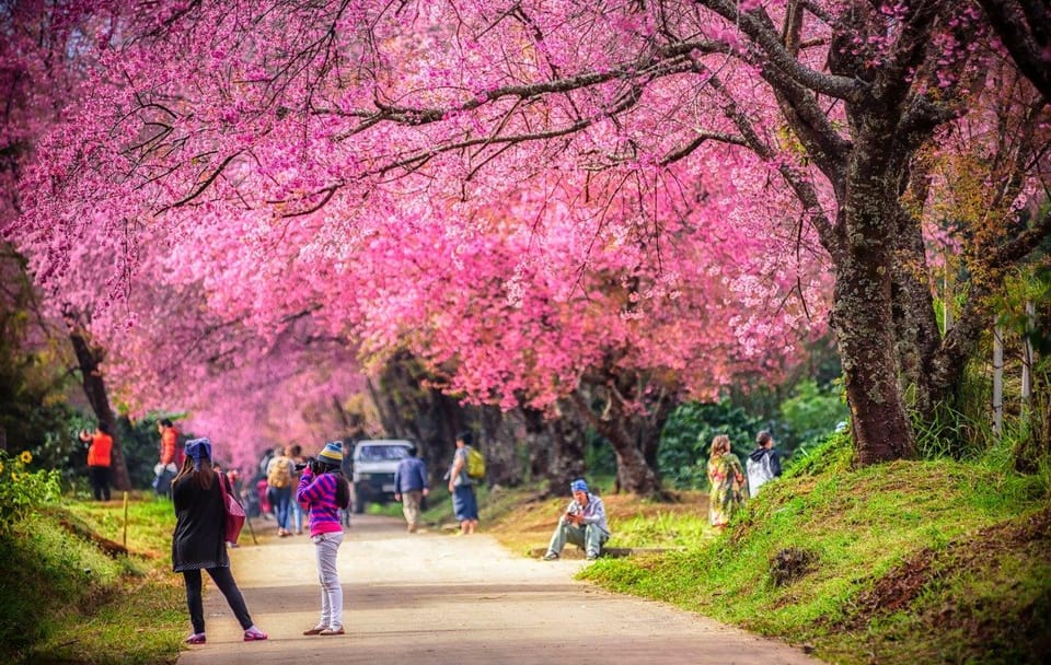 Chiang Mai City Package