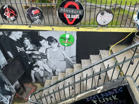 Private Icelandic Punk History Experience, photo 4