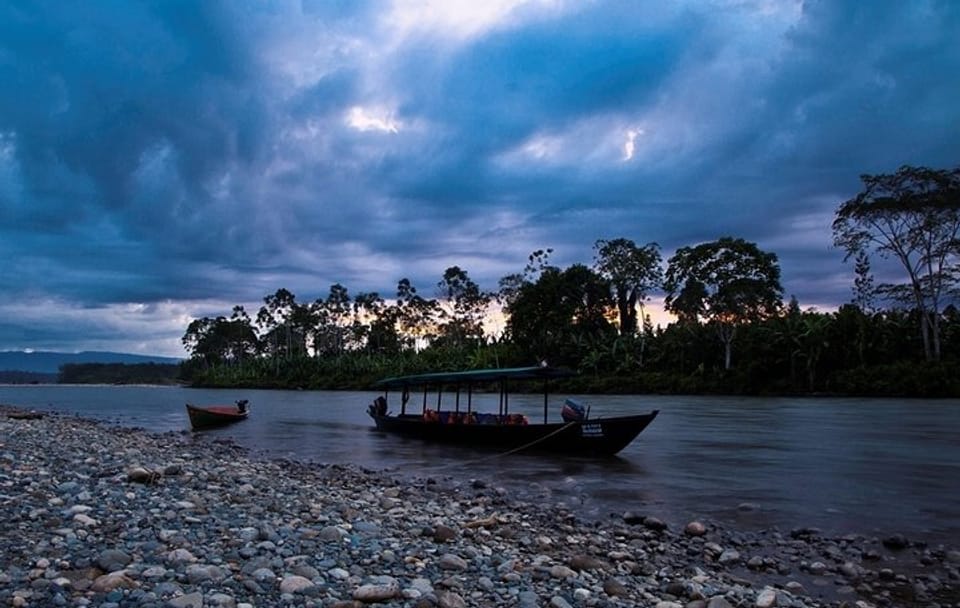 4-Day Jungle Adventure in Manu National Park from Cusco