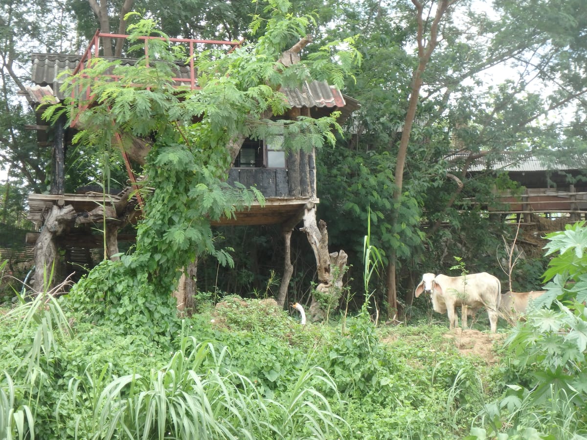 “KAYAK G” 3-Hour Chiang Mai River Kayak Run