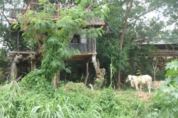3-Hour Kayak Tour on the River in Chiang Mai