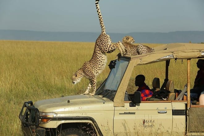4-Day Nairobi & Maasai Mara Safari  7