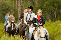 Kemer Horseback Riding Tour with Roundtrip Transfer 1