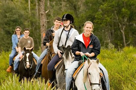 Kemer Horseback Riding Adventure with Hotel Transfers