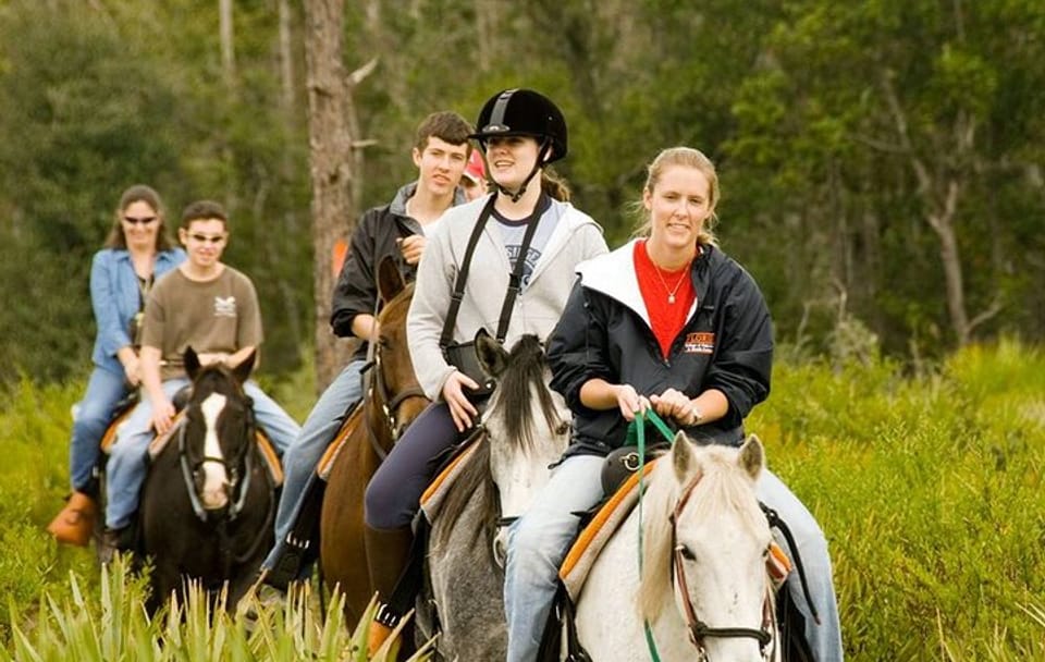 Horseback Riding Tour in Çamyuva, Kemer with Transfers