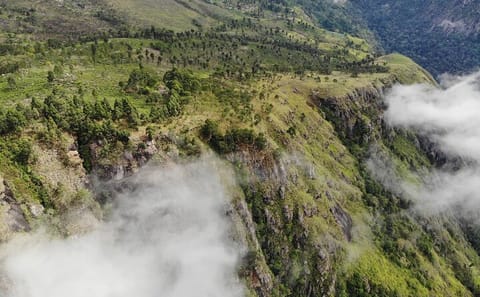 Camping and Hiking Adventure in Haputale, Sri Lanka