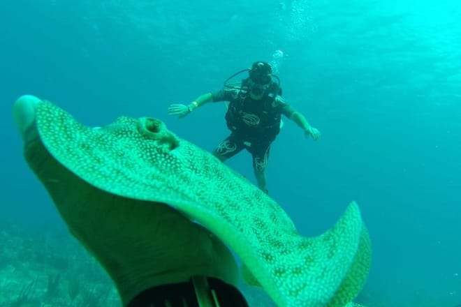 Scuba Diving at Catalina Island - 2 tank | 2 spots 6