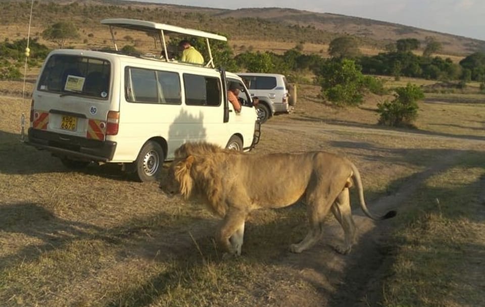 Private Tour of Nairobi National Park and Giraffe Center