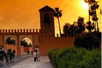 Marrakech Private Tour Check-out from Rabat with Licensed Guide 9