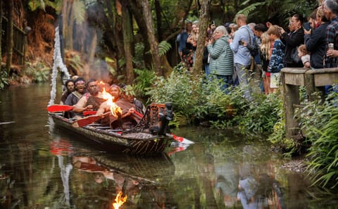Day Tour to Mitai Maori Village and Redwood Forest from Auckland