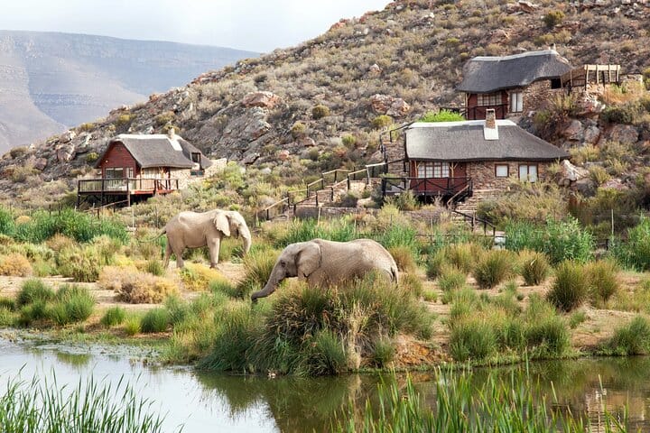  Big5 Wildlife Game Reserve Safari with wine tasting Transport 8