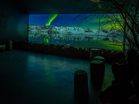 Reykjavík Northern Lights Cruise & Aurora Exhibition, photo 2