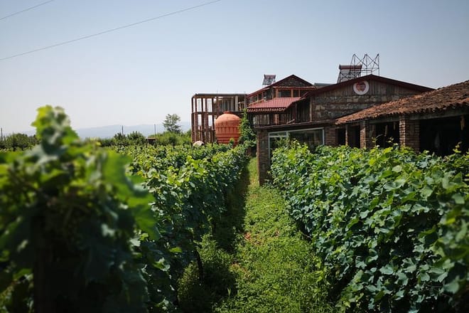 Twins Wine Cellar and Museum