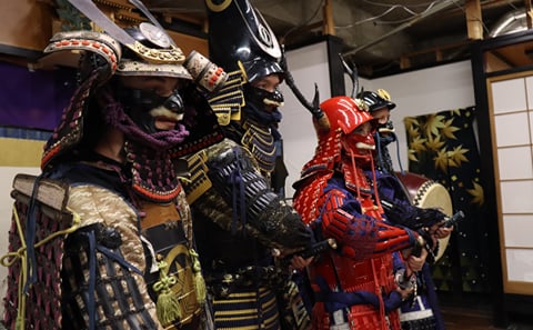 Step into the role of Top Samurai/Shogun , rally your soldiers, and give the order to march