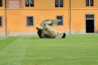 Angel in pisa