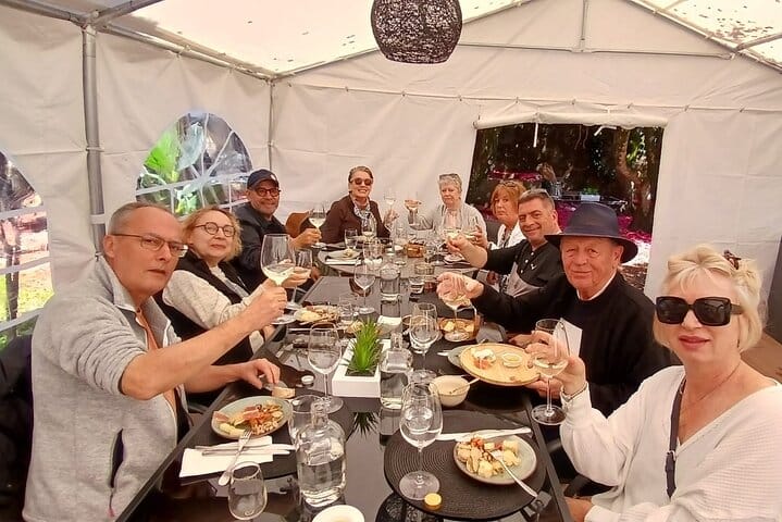 DOURO VALLEY: Premium Wine Tour, Lunch at Winery & Private Cruise