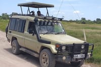 Landcruiser jeep for safari