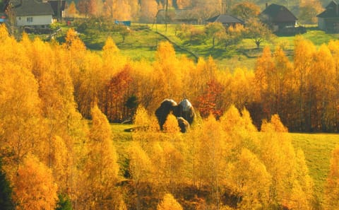 Small-Group Hiking Tour of Romanian Mountain Villages from Brașov