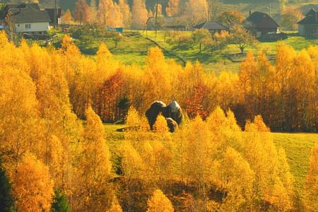 Discover Authentic Romanian Mountain Villages: Day Trip from Brașov