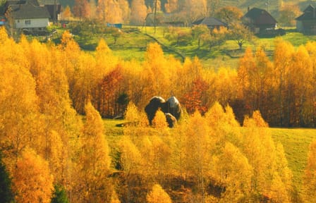 Small-Group Hiking Tour of Romanian Mountain Villages from Brașov