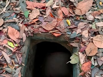 Half-Day Cu Chi Tunnels Tour in Ho Chi Minh City