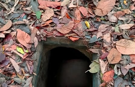 Half-Day Cu Chi Tunnels Tour in Ho Chi Minh City