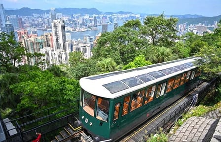 Hong Kong Highlights Tour with Peak Tram and Dim Sum Tasting