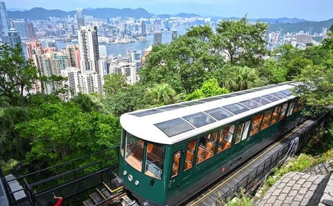 Hong Kong Highlights Tour with Peak Tram and Dim Sum Tasting