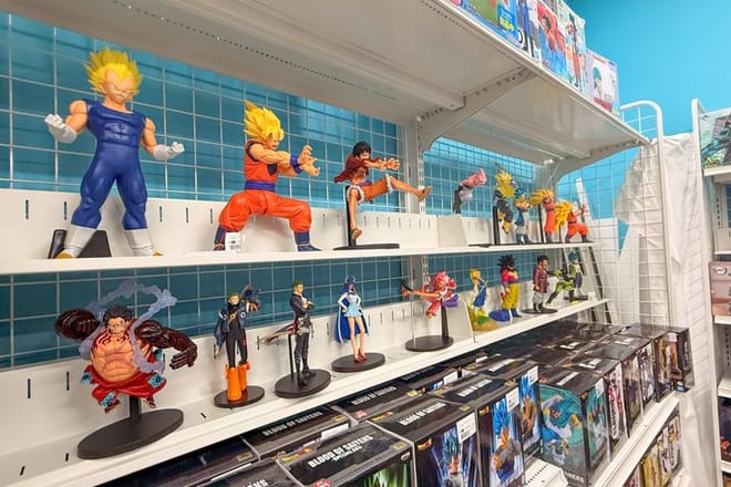 Not an anime expert? No worries! Your guide will explain the basics of Japanese subculture, making Akihabara fun and accessible for everyone.