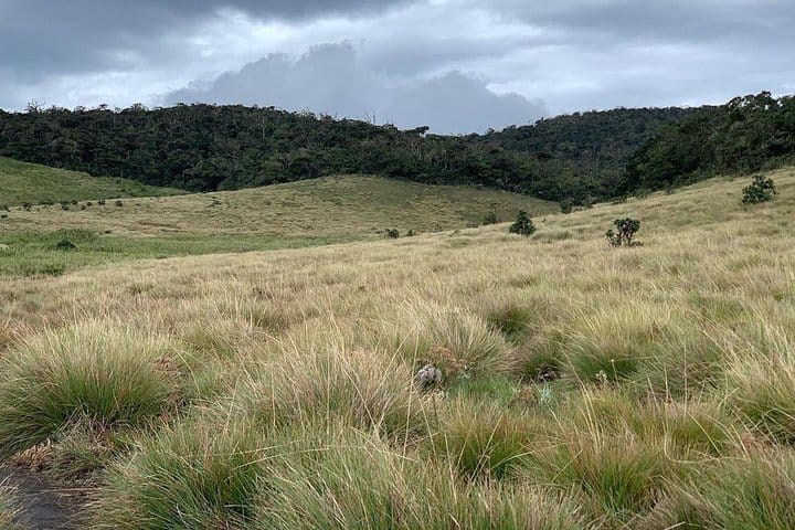 Spice Garden & Tea Factory Group Shore Excursion