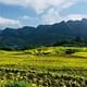 Explore Mai Chau - Pu Luong 3 Days (2 Nights in Mai Chau )