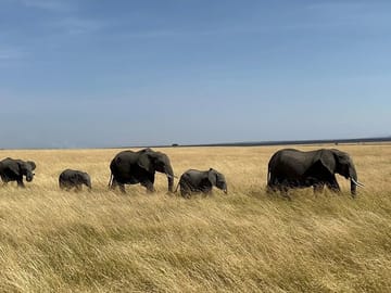 Amboseli day trip with pick up