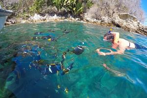 Bay Tour and Snorkeling