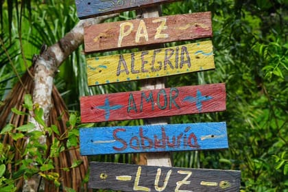 Ayahuasca Retreat Experience in Pucallpa, Peru for One Night