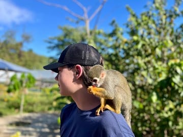 Hiking Tour of Damajagua Waterfalls and Monkey Interaction