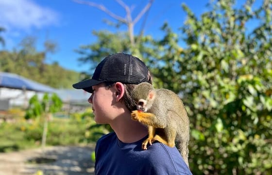 Damajagua Waterfalls and Monkey Private Van Tour