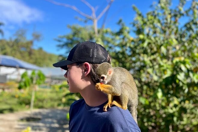 Damajagua Waterfalls and Monkey Private Van Tour photo 2