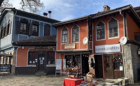 Full-Day Paragliding Adventure with Lunch in Koprivshtica