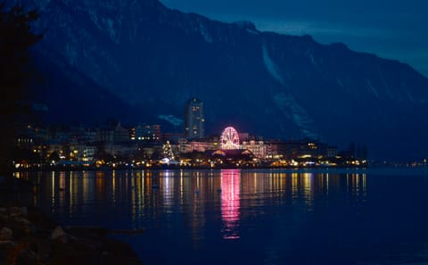 Guided Walking Tour of Montreux's Culture and Scenery
