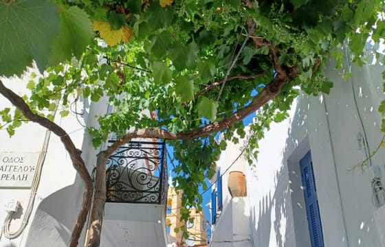 Seven-Day Island Hopping Sailing Tour from Lefkada