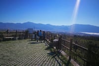 Group excursion for wine & food tasting Cantine del Vesuvio. (4 hours) 9