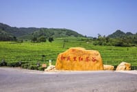 PRI Day Tour to Jiqingli Tea Plantation, Xianqiao Underground River fr Guangzhou 8