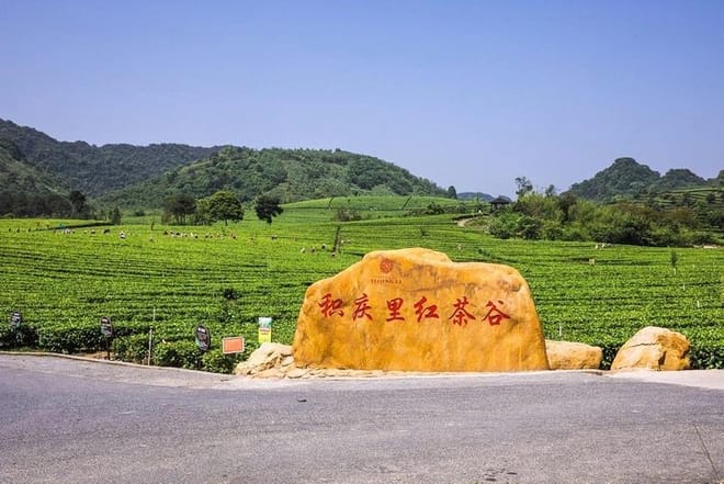 PRI Day Tour to Jiqingli Tea Plantation, Xianqiao Underground River fr Guangzhou 8