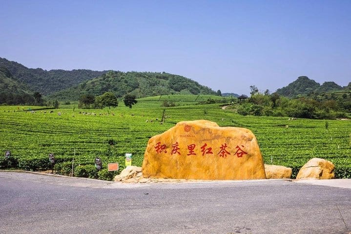 PRI Day Tour to Jiqingli Tea Plantation, Xianqiao Underground River fr Guangzhou 8