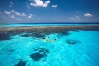 Snorkel the vibrant reef on your private yacht adventure in the turquoise Cabo waters.