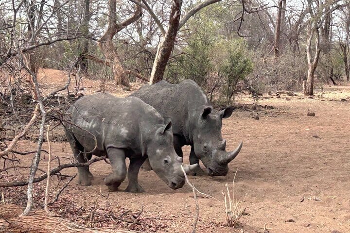 3-Days Adventure and Cultural package with Lunch